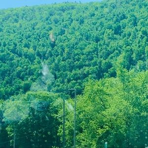 Meet your Posher, Radhames